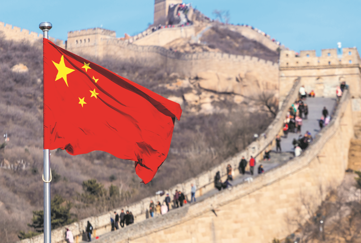 china-proibe-consumo-de-carne-de-animais